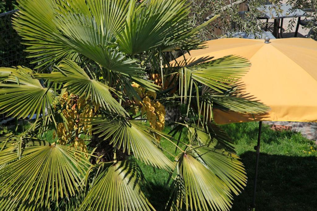 Hotel Jardis (Adults Only) Lana Dış mekan fotoğraf